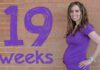 بارداری هفته به هفته؛ هفته ۱۹ بارداری
