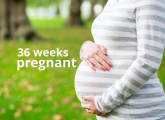 بارداری هفته به هفته؛ هفته سی و ششم بارداری چه علائم و نشانه هایی دارد؟ هفته ۳۶ بارداری