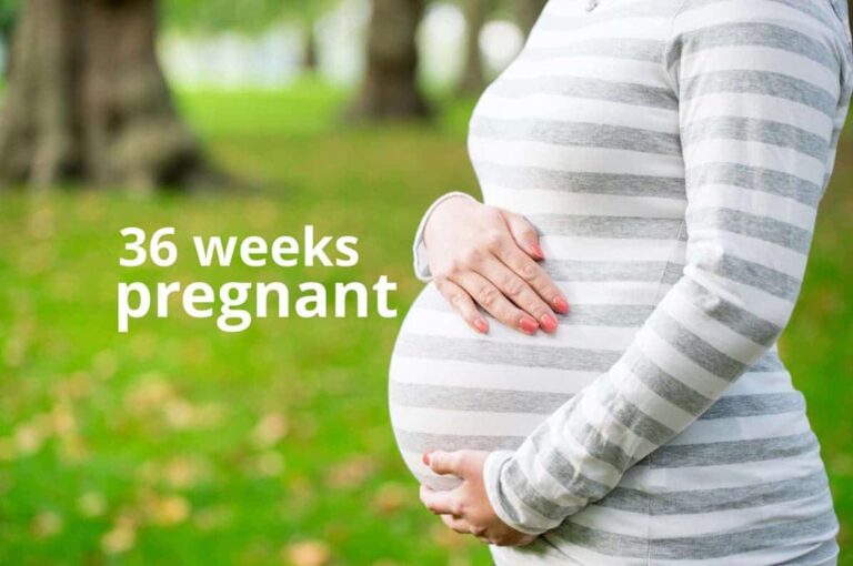 بارداری هفته به هفته؛ هفته سی و ششم بارداری چه علائم و نشانه هایی دارد؟