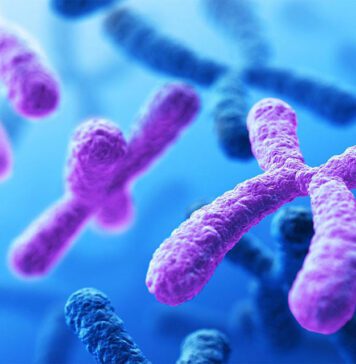 تریزومی چیست