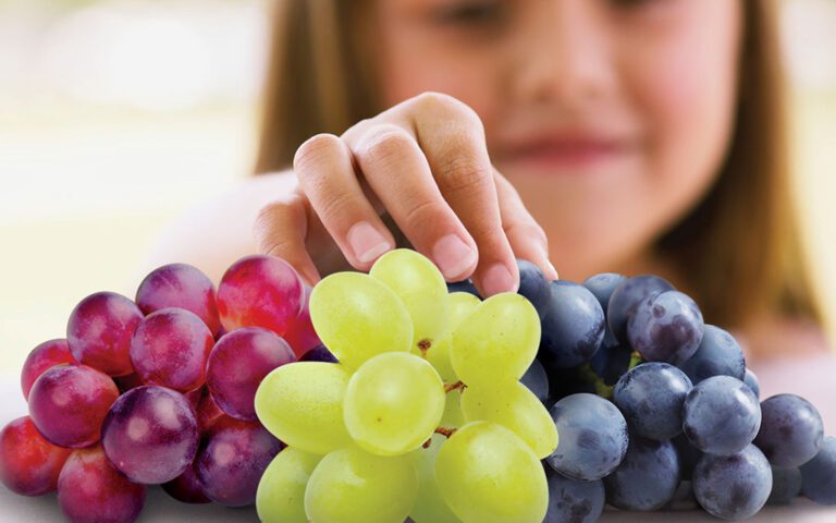 دادن انگور به کودک ؛ مزایا و نکات مهم در مورد دادن انگور به کودک