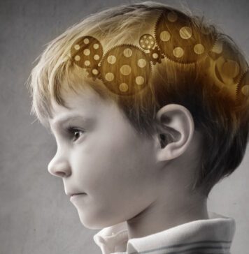 تکامل مغز انسان